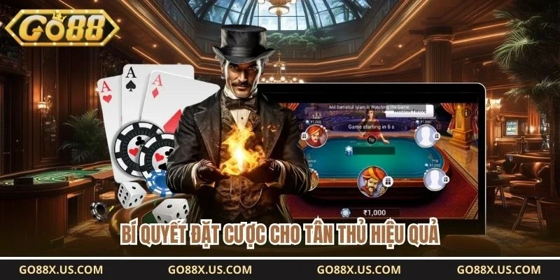 Bí quyết đặt cược cho tân thủ hiệu quả