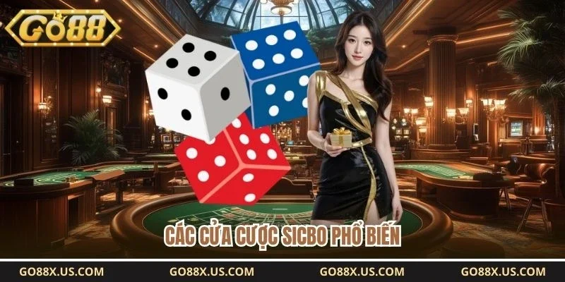 Các cửa cược sicbo phổ biến